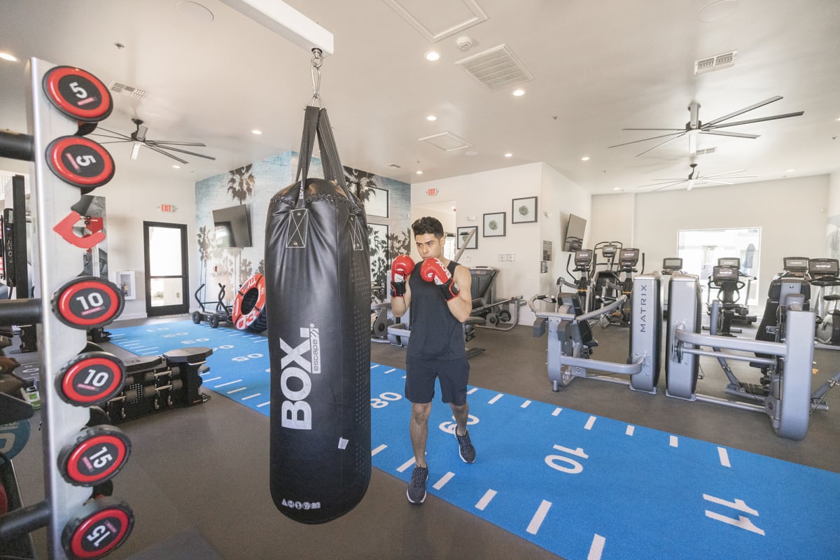 Photos and Video of Haven Townhomes at P83 in Peoria, AZ